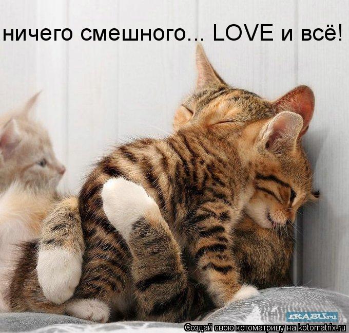 Котоматрица: ничего смешного... LOVE и всё!