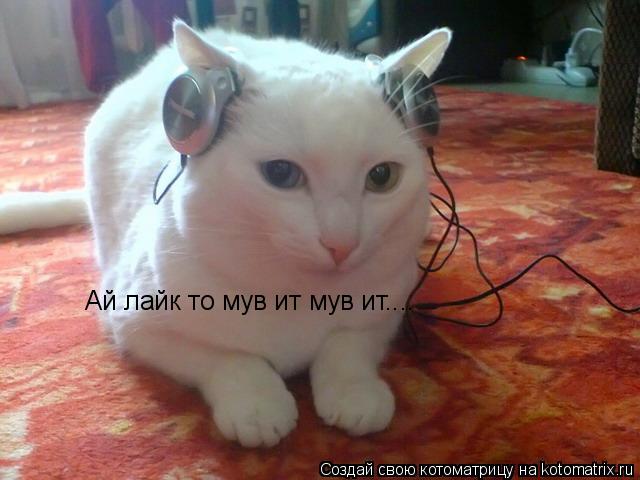 Котоматрица: Ай лайк то мув ит мув ит....
