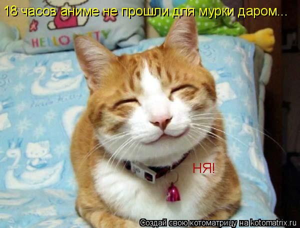 Котоматрица: 18 часов аниме не прошли для мурки даром... НЯ!