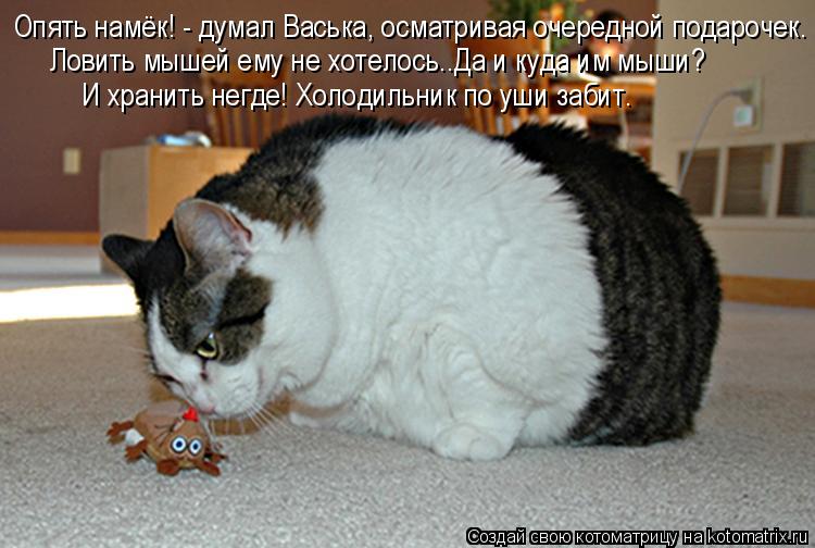 Опять намёк! - думал Васька, осматривая очередной подарочек. Ловить мышей ему не хотелось..Да и куда ... Котоматрица: Опять намёк! - думал Васька, осматривая очередной подарочек. Ловить мышей ему не хотелось..Да и куда им мыши? И хранить негде! Холодильник по