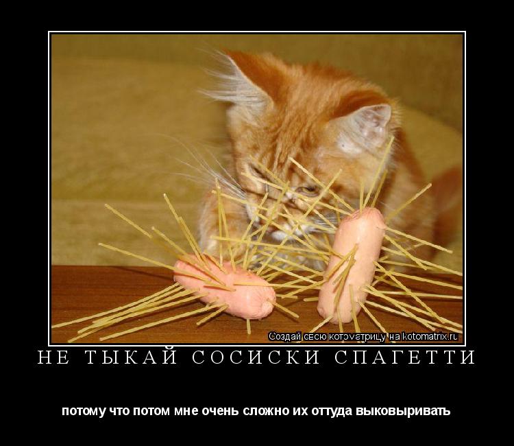 Котоматрица: Не тыкай сосиски спагетти потому что потом мне очень сложно их оттуда выковыривать