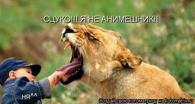 Котоматрица: ня^^ СЦУКО!!! Я НЕ АНИМЕШНИК!!
