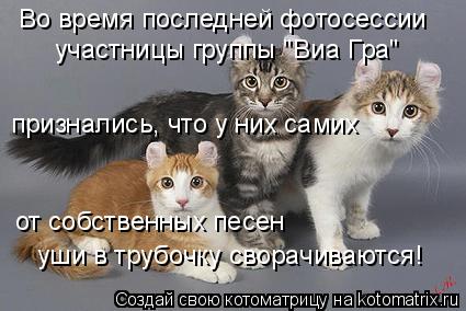 Котоматрица: Во время последней фотосессии участницы группы "Виа Гра" признались, что у них самих от собственных песен уши в трубочку сворачиваются!