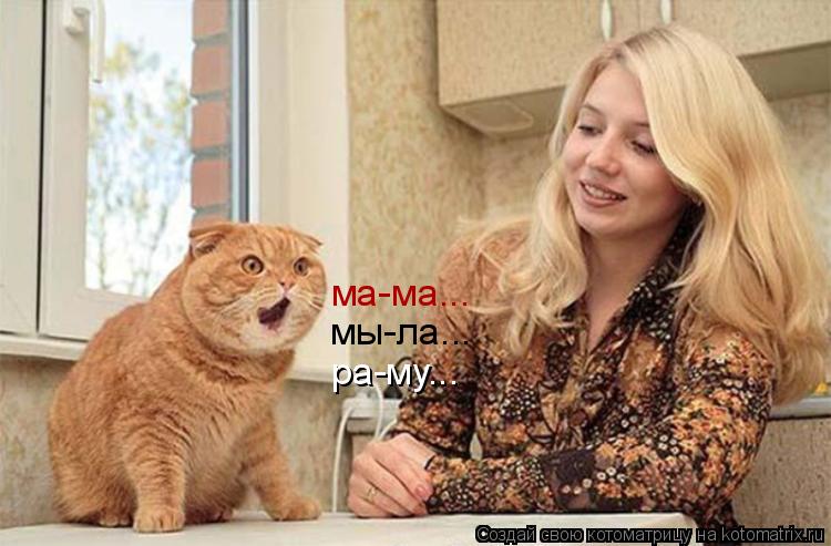 ма-ма... мы-ла... ра-му...... Котоматрица: ма-ма... мы-ла... ра-му...