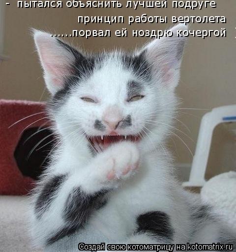 - пытался объяснить лучшей подруге принцип работы вертолета ......порвал ей ноздрю кочергой ))... Котоматрица: - пытался объяснить лучшей подруге принцип работы вертолета ......порвал ей ноздрю кочергой ))