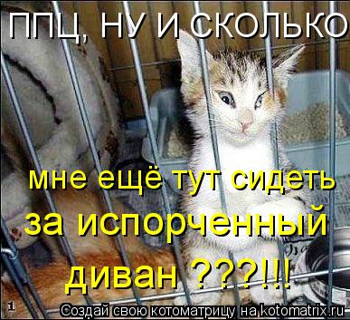 ППЦ, НУ И СКОЛЬКО мне ещё тут сидеть за испорченный диван ???!!!... Котоматрица: ППЦ, НУ И СКОЛЬКО мне ещё тут сидеть за испорченный диван ???!!!