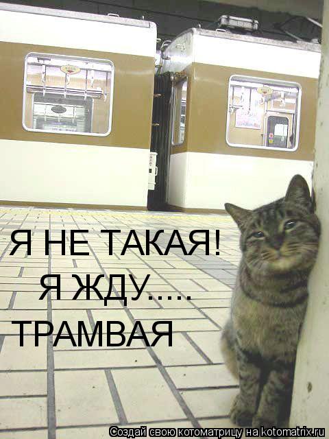 Я НЕ ТАКАЯ! Я ЖДУ..... ТРАМВАЯ... Котоматрица: Я НЕ ТАКАЯ! Я ЖДУ..... ТРАМВАЯ