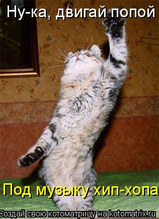 Ну-ка, двигай попой Под музыку хип-хопа... Котоматрица: Ну-ка, двигай попой Под музыку хип-хопа