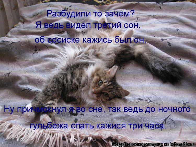 Разбудили то зачем? Я ведь видел третий сон, об сосиске кажись был он. Ну причмокнул я во сне, так ве... Котоматрица: Разбудили то зачем? Я ведь видел третий сон, об сосиске кажись был он. Ну причмокнул я во сне, так ведь до ночного гульбежа спать кажися три ч