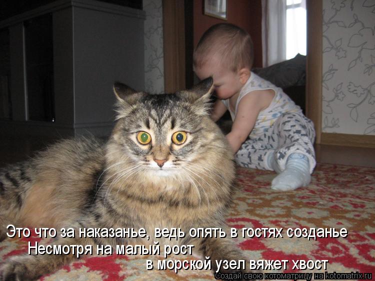Это что за наказанье, ведь опять в гостях созданье Несмотря на малый рост в морской узел вяжет хвост... Котоматрица: Это что за наказанье, ведь опять в гостях созданье Несмотря на малый рост в морской узел вяжет хвост