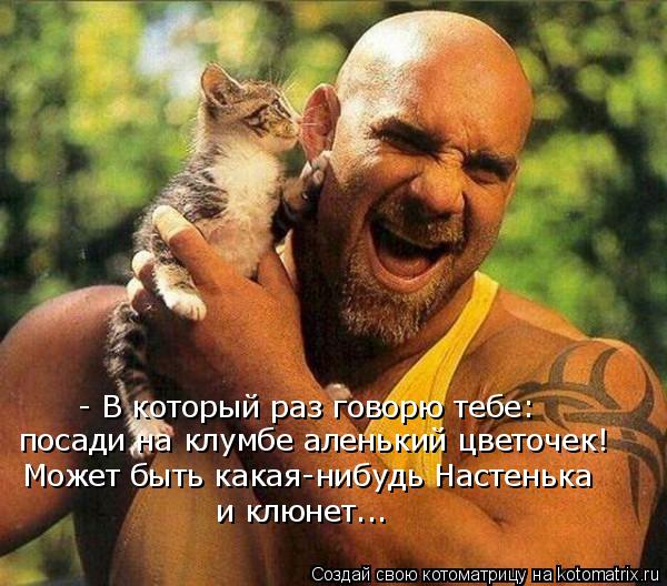 - В который раз говорю тебе: посади на клумбе аленький цветочек! Может быть какая-нибудь Настенька и... Котоматрица: - В который раз говорю тебе: посади на клумбе аленький цветочек! Может быть какая-нибудь Настенька и клюнет...