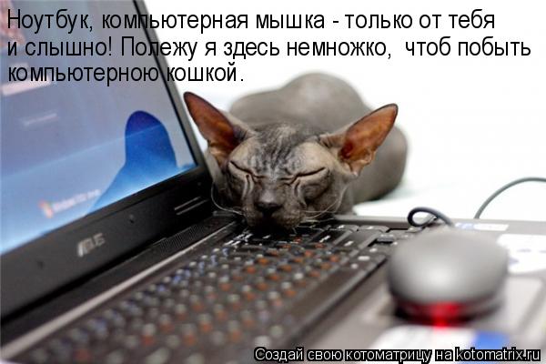 Котоматрица: Ноутбук, компьютерная мышка - только от тебя и слышно! Полежу я здесь немножко,  чтоб побыть компьютерною кошкой.