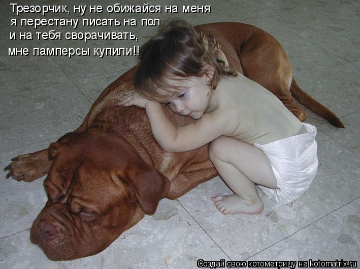 Котоматрица: Трезорчик, ну не обижайся на меня я перестану писать на пол и на тебя сворачивать, мне памперсы купили!!