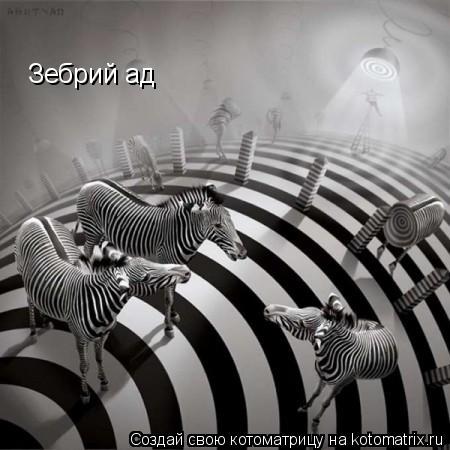 Котоматрица: Зебрий ад