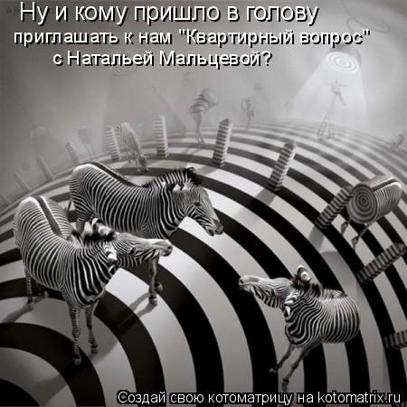 Котоматрица: Ну и кому пришло в голову приглашать к нам "Квартирный вопрос" с Натальей Мальцевой?