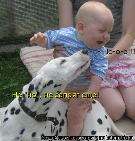 Котоматрица: - Но-о-о!!! - Не "но", не запряг еще!