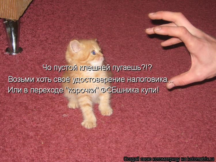 Котоматрица: Чо пустой клешнёй пугаешь?!? Возьми хоть своё удостоверение налоговика... Или в переходе "корочки" ФСБшника купи!