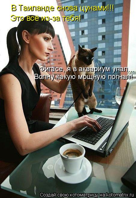 Котоматрица: В Таиланде снова цунами!!! Это всё из-за тебя! Фигасе, я в аквариум упал... Волну какую мощную погнал!