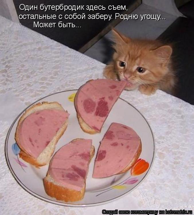 Котоматрица: Один бутербродик здесь съем, остальные с собой заберу. Родню угощу... Может быть...