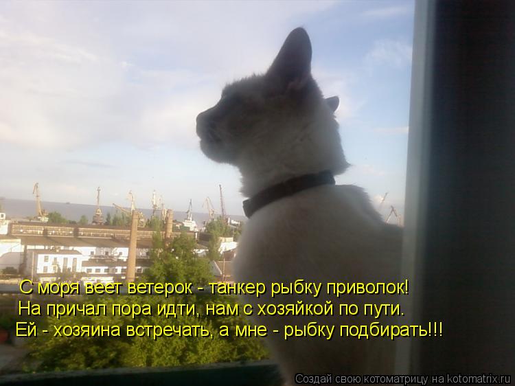 Котоматрица: С моря веет ветерок - танкер рыбку приволок! На причал пора идти, нам с хозяйкой по пути. Ей - хозяина встречать, а мне - рыбку подбирать!!!