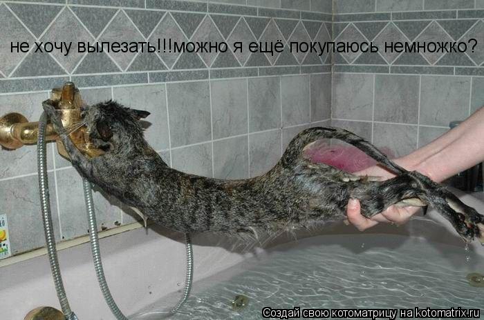 Котоматрица: не хочу вылезать!!!можно я ещё покупаюсь немножко?