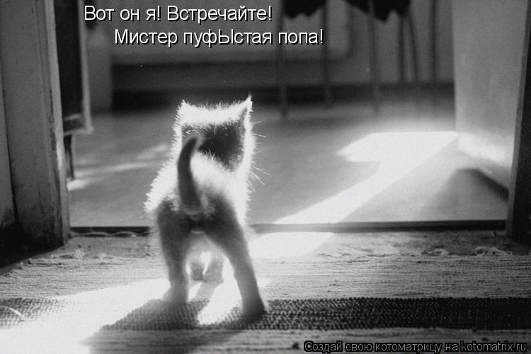 Котоматрица: Вот он я! Встречайте! Мистер пуфЫстая попа!