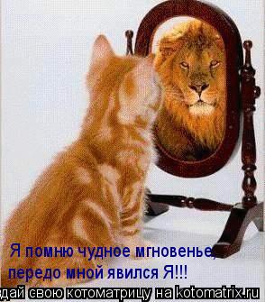 Я помню чудное мгновенье, передо мной явился Я!!!... Котоматрица: Я помню чудное мгновенье, передо мной явился Я!!!