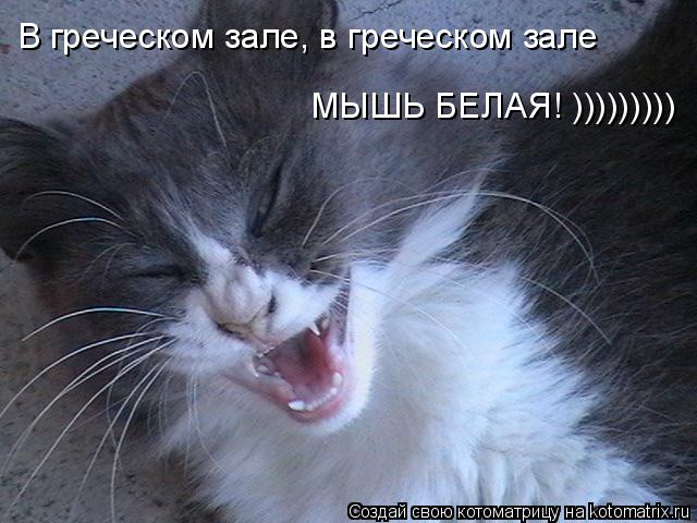 В греческом зале, в греческом зале МЫШЬ БЕЛАЯ! )))))))))... Котоматрица: В греческом зале, в греческом зале МЫШЬ БЕЛАЯ! )))))))))