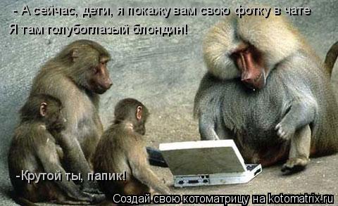 - А сейчас, дети, я покажу вам свою фотку в чате Я там голубоглазый блондин! -Крутой ты, папик!... Котоматрица: - А сейчас, дети, я покажу вам свою фотку в чате Я там голубоглазый блондин! -Крутой ты, папик!