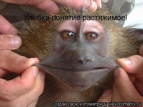 Улыбка понятие растяжимое!... Котоматрица: Улыбка понятие растяжимое!