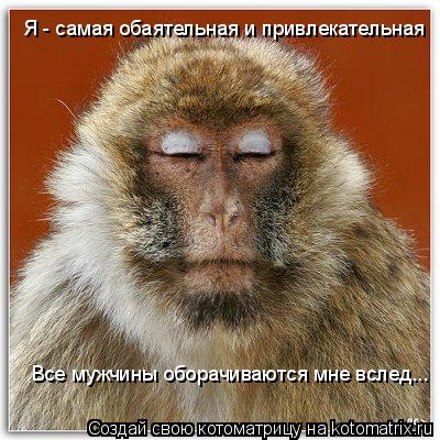 Я - самая обаятельная и привлекательная Все мужчины оборачиваются мне вслед...... Котоматрица: Я - самая обаятельная и привлекательная Все мужчины оборачиваются мне вслед...