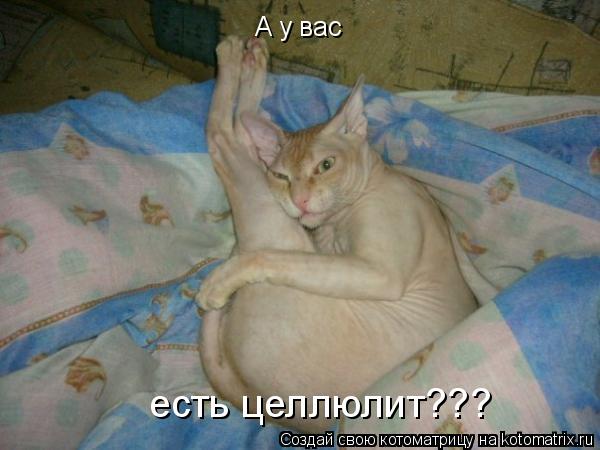 А у вас есть целлюлит???... Котоматрица: А у вас есть целлюлит???