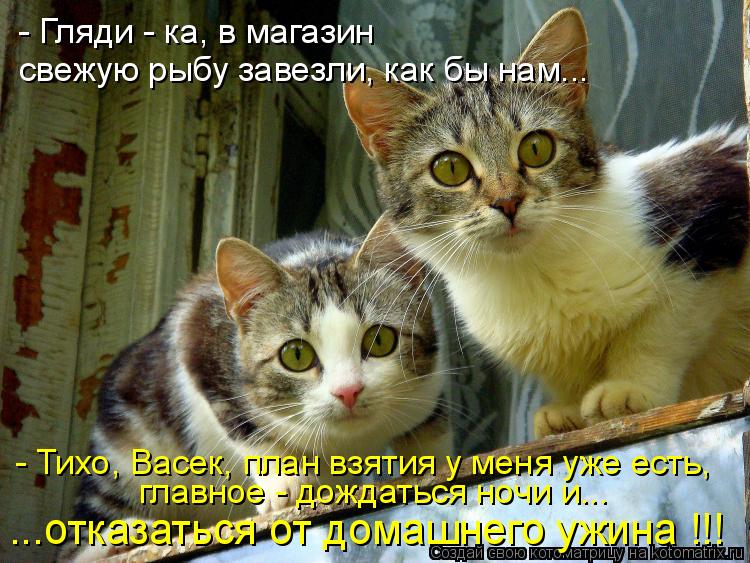 Котоматрица: - Гляди - ка, в магазин свежую рыбу завезли, как бы нам... - Тихо, Васек, план взятия у меня уже есть, главное - дождаться ночи и... ...отказаться от 