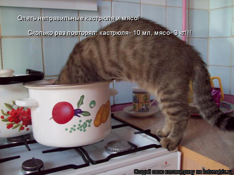 Опять неправильные кастрюля и мясо! Сколько раз повторял: кастрюля- 10 мл, мясо- 3 кг!!!... Котоматрица: Опять неправильные кастрюля и мясо! Сколько раз повторял: кастрюля- 10 мл, мясо- 3 кг!!!
