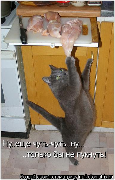 Ну..еще чуть-чуть..ну... ..только бы не пукнуть!... Котоматрица: Ну..еще чуть-чуть..ну... ..только бы не пукнуть!