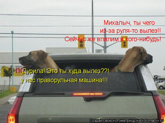 Михалыч, ты чего из-за руля-то вылез!! Сейчас же впилим в кого-нибудь! у нас праворульная машина!!! ... Котоматрица: Михалыч, ты чего из-за руля-то вылез!! Сейчас же впилим в кого-нибудь! у нас праворульная машина!!! Дурила! Это ты куда вылез??!