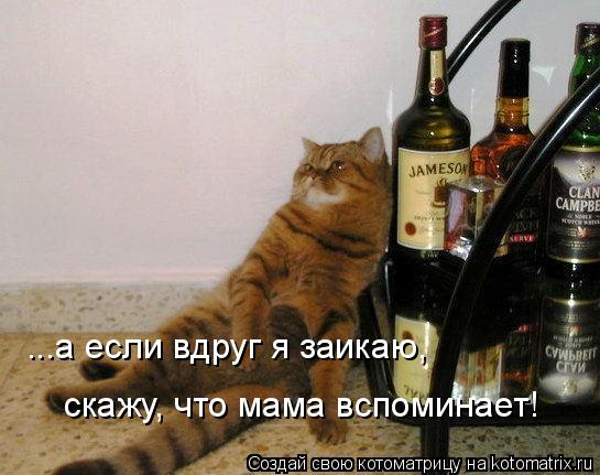 ...а если вдруг я заикаю, скажу, что мама вспоминает!... Котоматрица: ...а если вдруг я заикаю, скажу, что мама вспоминает!