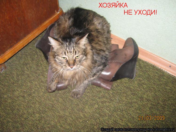 ХОЗЯЙКА НЕ УХОДИ!... Котоматрица: ХОЗЯЙКА НЕ УХОДИ!