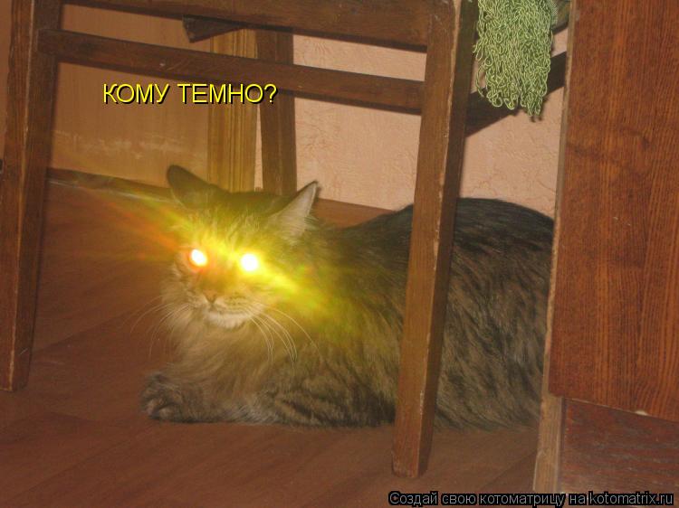 КОМУ ТЕМНО?... Котоматрица: КОМУ ТЕМНО?