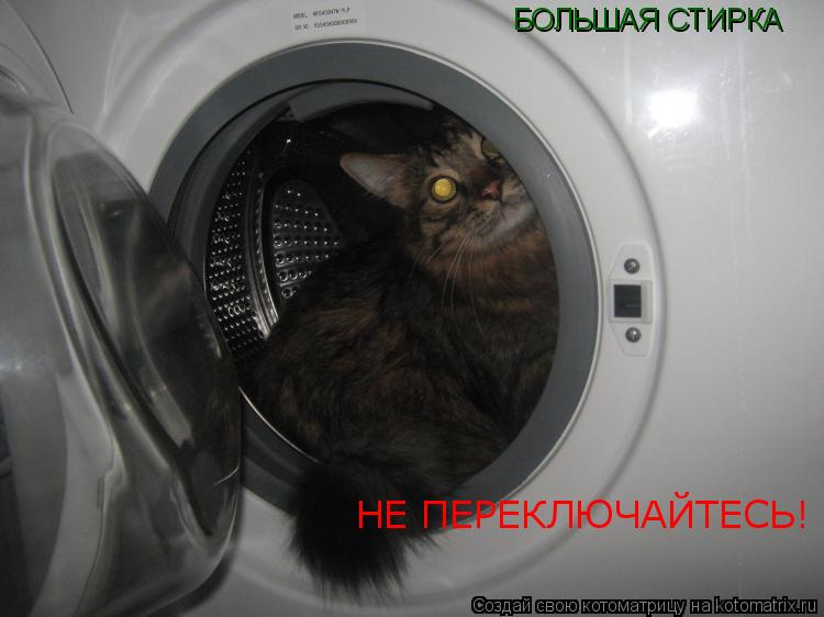 БОЛЬШАЯ СТИРКА НЕ ПЕРЕКЛЮЧАЙТЕСЬ!... Котоматрица: БОЛЬШАЯ СТИРКА НЕ ПЕРЕКЛЮЧАЙТЕСЬ!