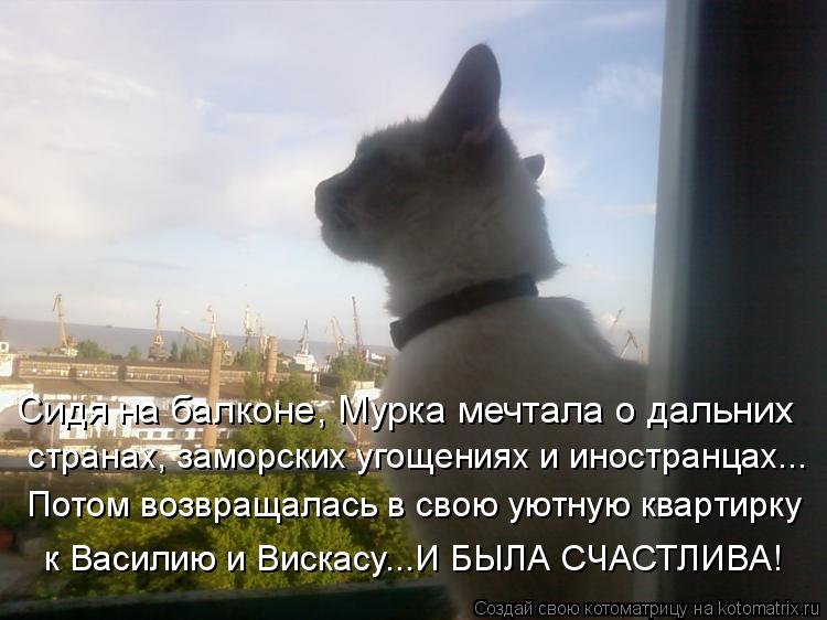 Котоматрица: Сидя на балконе, Мурка мечтала о дальних странах, заморских угощениях и иностранцах... Потом возвращалась в свою уютную квартирку к Василию 