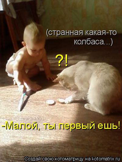 Котоматрица: ?! -Малой, ты первый ешь! (странная какая-то  колбаса...)