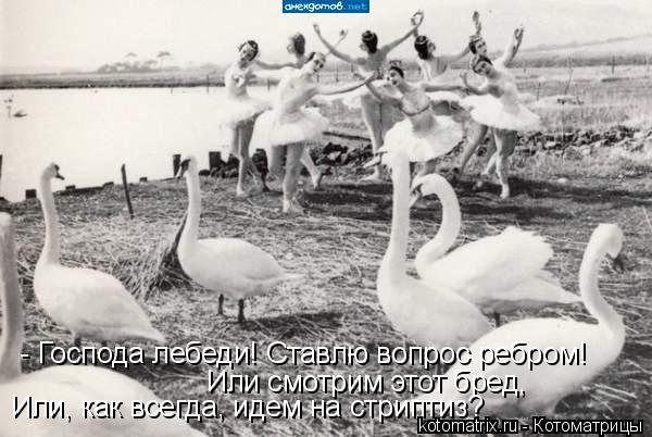- Господа лебеди! Ставлю вопрос ребром! Или смотрим этот бред, Или, как всегда, идем на стриптиз?... Котоматрица: - Господа лебеди! Ставлю вопрос ребром! Или смотрим этот бред, Или, как всегда, идем на стриптиз?