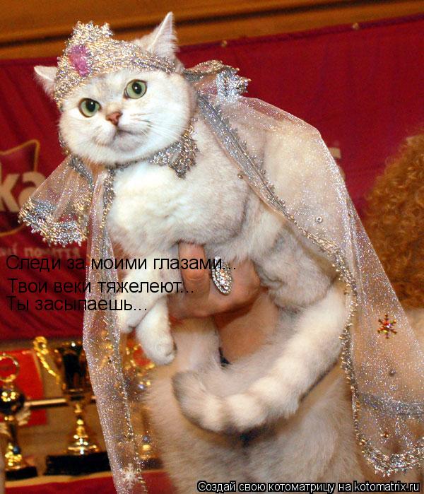 Следи за моими глазами... Твои веки тяжелеют... Ты засыпаешь...... Котоматрица: Следи за моими глазами... Твои веки тяжелеют... Ты засыпаешь...