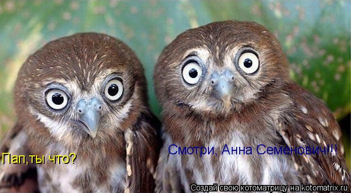 Пап,ты что? Смотри, Анна Семенович!!!... Котоматрица: Пап,ты что? Смотри, Анна Семенович!!!