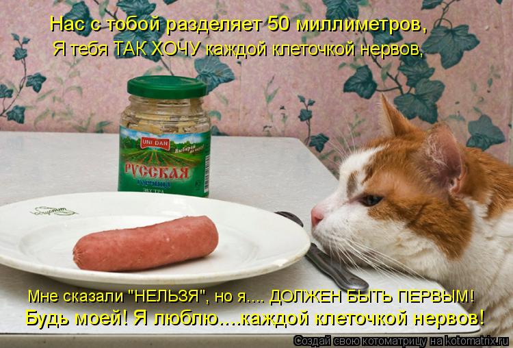 Будь моей! Я люблю....каждой клеточкой нервов! Мне сказали "НЕЛЬЗЯ", но я.... ДОЛЖЕН БЫТЬ ПЕРВЫМ! Я т... Котоматрица: Будь моей! Я люблю....каждой клеточкой нервов! Мне сказали "НЕЛЬЗЯ", но я.... ДОЛЖЕН БЫТЬ ПЕРВЫМ! Я тебя ТАК ХОЧУ каждой клеточкой нервов, Нас с т