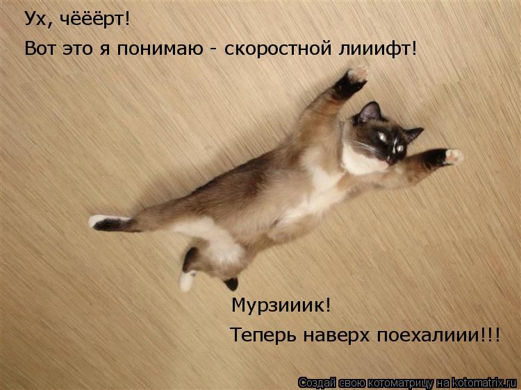Теперь наверх поехалиии!!! Мурзииик! Вот это я понимаю - скоростной лииифт! Ух, чёёёрт!... Котоматрица: Теперь наверх поехалиии!!! Мурзииик! Вот это я понимаю - скоростной лииифт! Ух, чёёёрт!