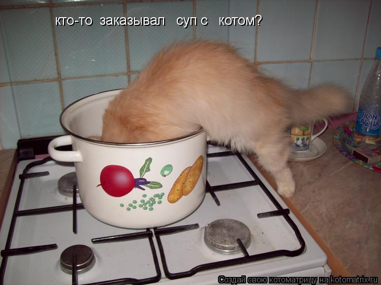 кто-то заказывал суп с котом кто-то заказывал суп с котом?... Котоматрица: кто-то заказывал суп с котом кто-то заказывал суп с котом?