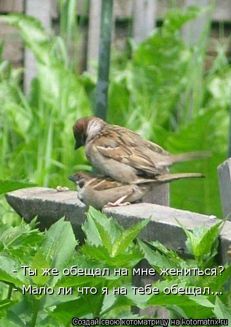 - Ты же обещал на мне жениться? - Мало ли что я на тебе обещал...... Котоматрица: - Ты же обещал на мне жениться? - Мало ли что я на тебе обещал...