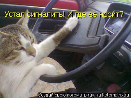 Устал сигналить! И где ее носит?... Котоматрица: Устал сигналить! И где ее носит?